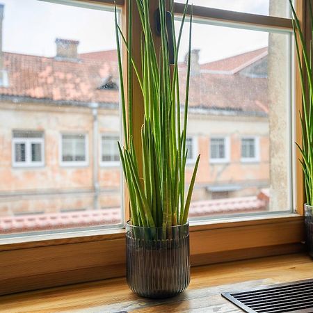 Church Through The Window Vilna Exterior foto
