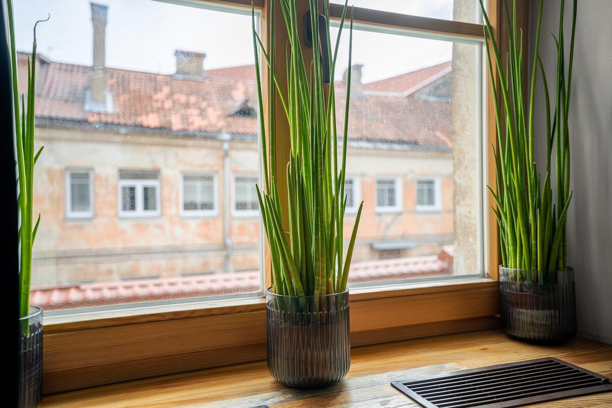 Church Through The Window Vilna Exterior foto